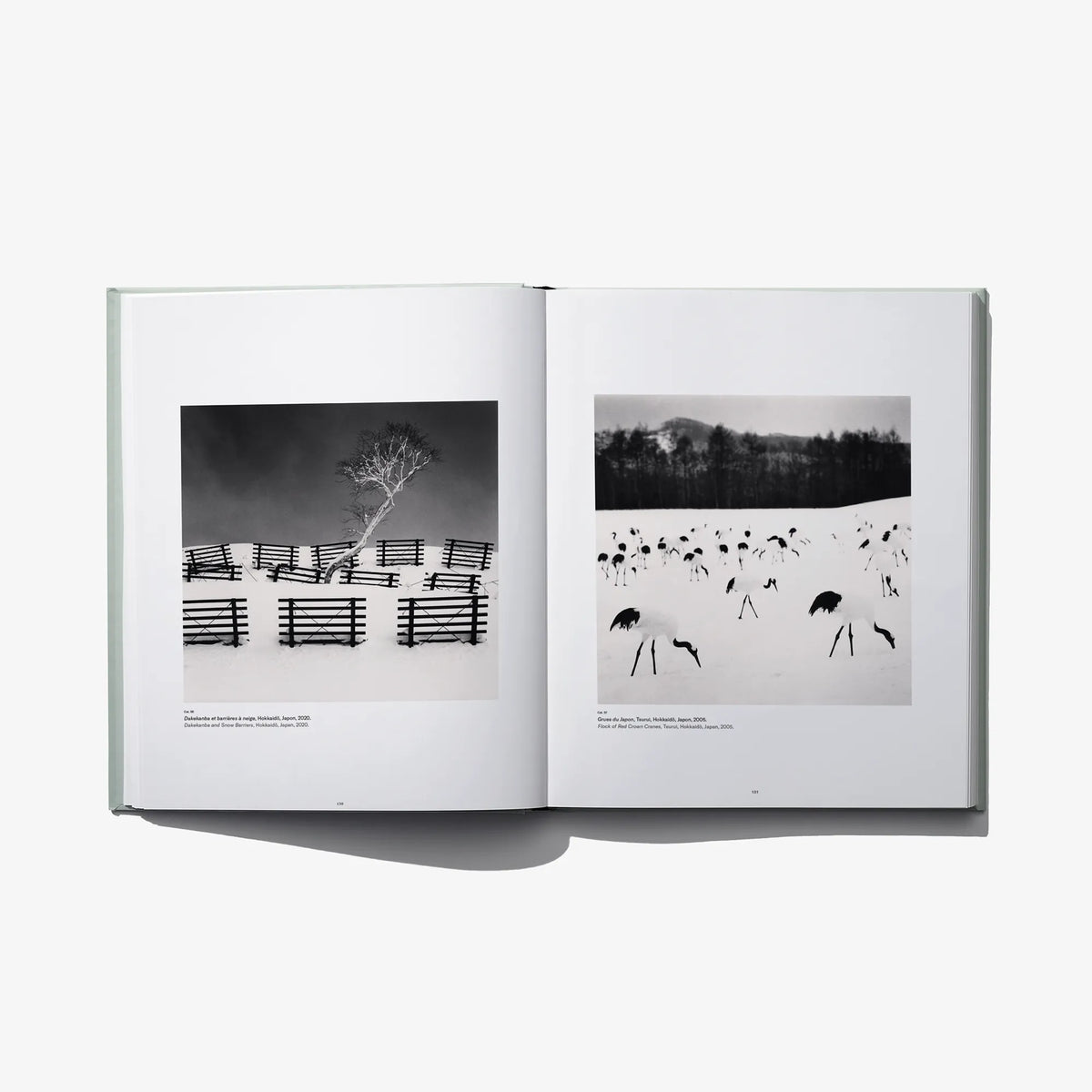Open photo book spread: fence-lined tree scene and black-and-white herd in field.