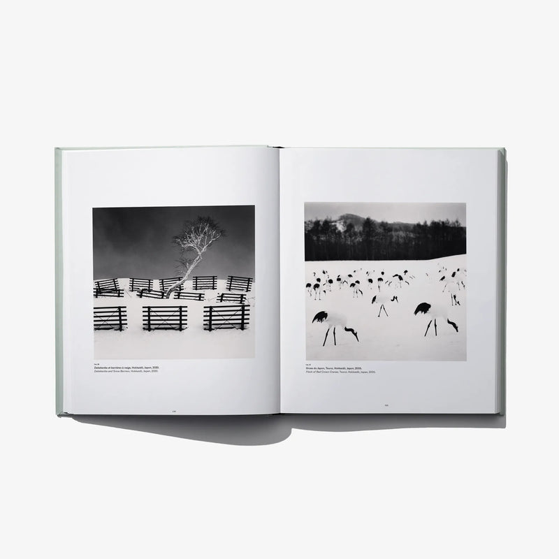 Open photo book spread: fence-lined tree scene and black-and-white herd in field.