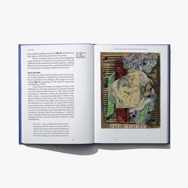 Open book spread with text on the left and a colorful artwork print on the right