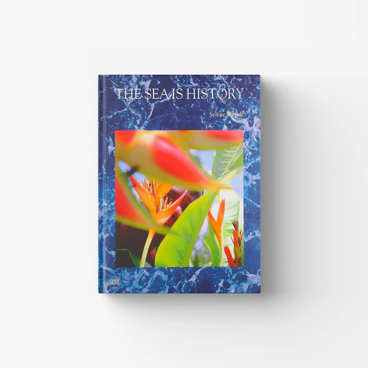 Contemporary art exhibition catalog in blue with sea themed cover, Skira Arte, Selene Wendt, migration and displacement theme