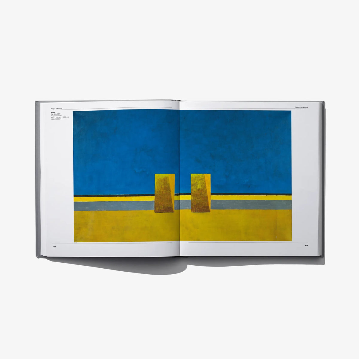 Art catalogue open to a blue and yellow abstract painting spread